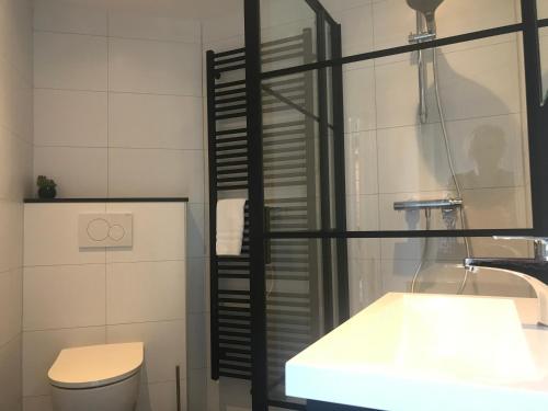 卑尔根De Specht的带淋浴、卫生间和盥洗盆的浴室
