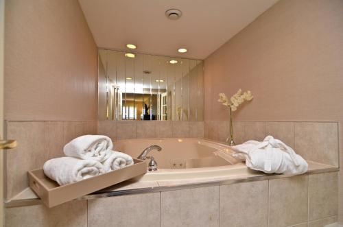 圣凯瑟琳市Holiday Inn Hotel & Suites St.Catharines-Niagara, an IHG Hotel的一间带毛巾和镜子的浴缸的浴室
