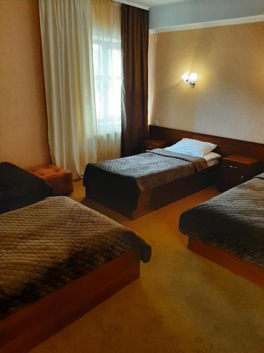 鲍里斯皮尔斯黛拉维扎酒店的酒店客房设有两张床和窗户。