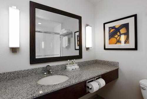 奥马哈南罗尔斯顿竞技场智选假日酒店的一间浴室