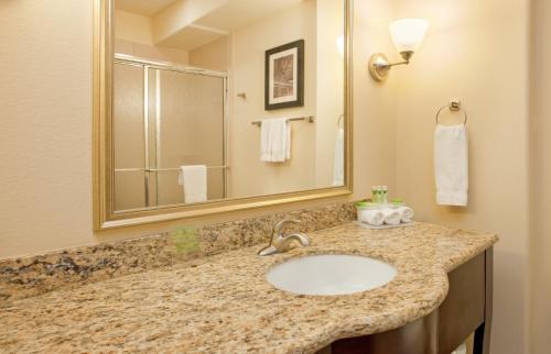拉斯克鲁塞斯北拉斯克鲁塞斯快捷假日酒店的一间带水槽和镜子的浴室