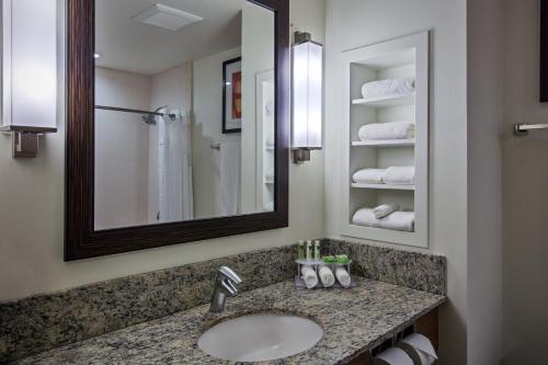 凯卢阿-科纳智选假日酒店及套房的一间浴室