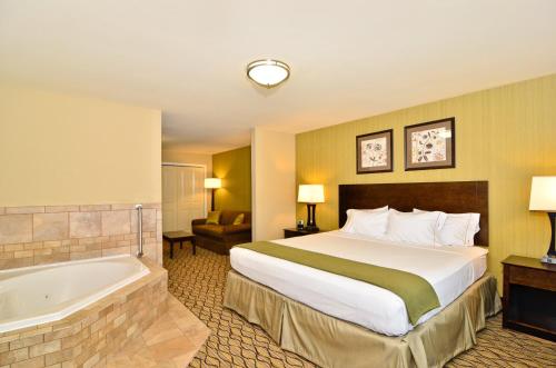 威利斯顿Holiday Inn Express & Suites - Williston, an IHG Hotel的酒店客房配有一张床和浴缸。