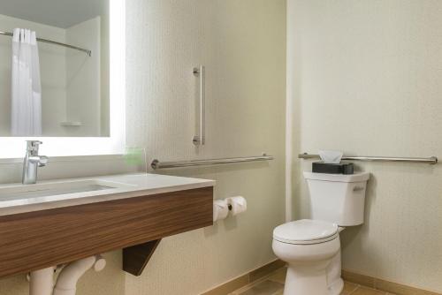 克拉里恩克拉里恩套房智选假日酒店的一间带卫生间、水槽和镜子的浴室