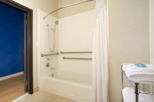 Ruckersville拉克斯维尔夏洛茨维尔快捷假日酒店的一间带浴缸和淋浴的浴室