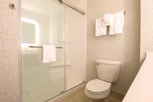 休伦港休伦港智选假日套房酒店的一间带卫生间和玻璃淋浴间的浴室