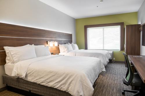 森林湖卓越套房酒店的酒店客房设有两张床和窗户。