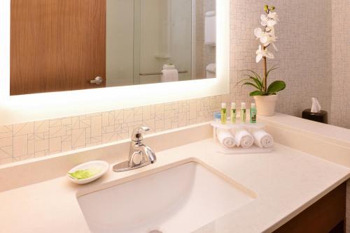 塞勒姆塞勒姆智选假日酒店 的一间带水槽和镜子的浴室