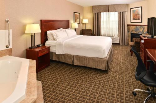 埃德蒙顿Holiday Inn Express Edmonton North, an IHG Hotel的酒店客房配有一张床和浴缸。