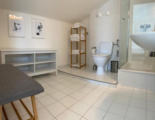 慕尼黑慕尼黑竞技场城市酒店的一间带卫生间和水槽的浴室