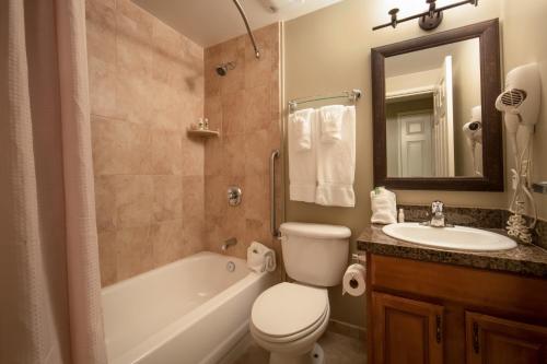 布朗斯维尔阿斯卡特尼山度假村假日度假俱乐部酒店的浴室配有卫生间、浴缸和水槽。