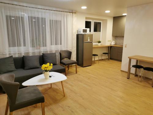 德鲁斯基宁凯Central Apartments Nojus的带沙发和桌子的客厅以及厨房。