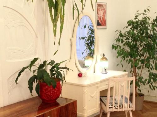布达佩斯盖亚旅馆的配有带植物和镜子的书桌的房间