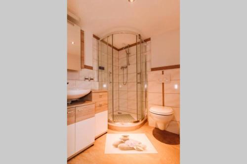 埃尔巴赫Ferienwohnung Casa del Vino的带淋浴、卫生间和盥洗盆的浴室