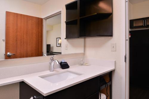 特雷霍特特雷霍特烛木套房酒店的一间带水槽和镜子的浴室