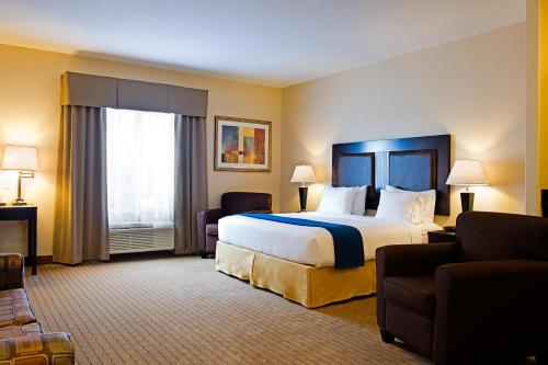 里贾纳南里贾纳智选假日酒店及套房的酒店客房设有一张大床和一张沙发。