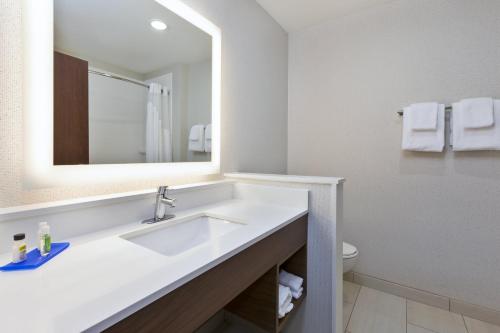 PainesvilleHoliday Inn Express & Suites - Painesville - Concord, an IHG Hotel的浴室设有白色水槽和镜子
