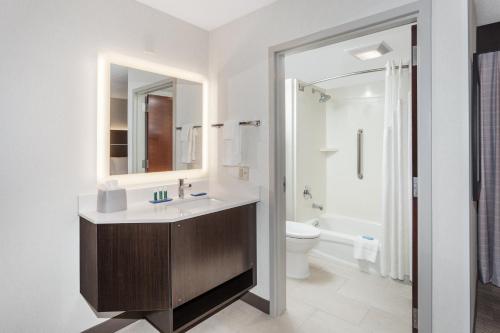 南波特兰南波特兰快捷假日酒店的一间带水槽和卫生间的浴室