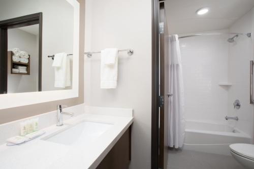 拉皮德城Staybridge Suites Rapid City - Rushmore, an IHG Hotel的白色的浴室设有水槽和淋浴。