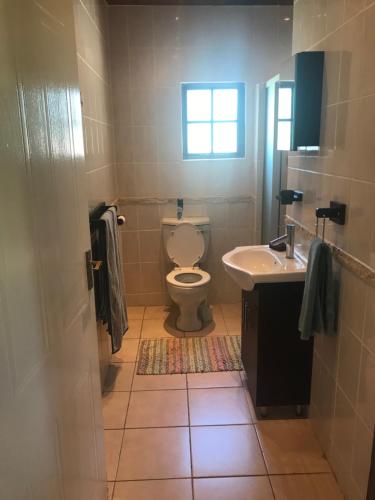 索德瓦纳湾Sibiya Guest House的一间带卫生间、水槽和窗户的浴室