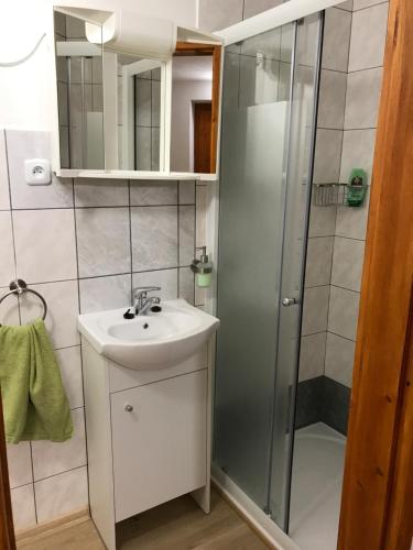 VšejanyTradiční český dům s ložnicemi v podkroví的一间带水槽和淋浴的浴室