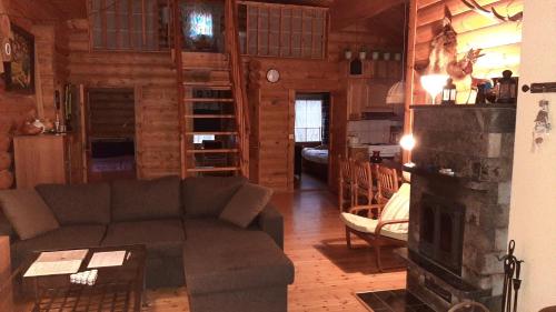 鲁奥科拉赫蒂Kallioranta Cottage的带沙发和壁炉的客厅