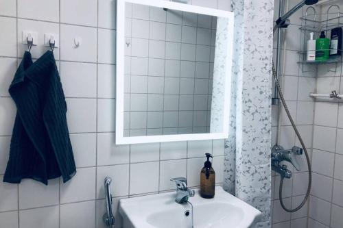 拉赫蒂Studio Vescu的一间带水槽、镜子和淋浴的浴室