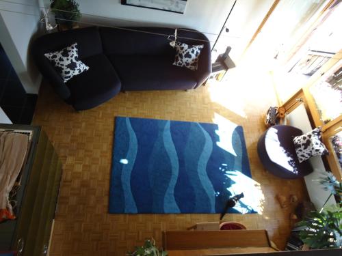哈斯利伯格费里恩乌农天堂酒店的带沙发和蓝色地毯的客厅
