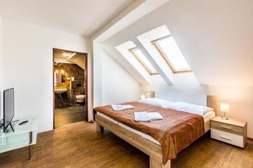 特普利采Teplice Apartments Dlouhá的一间卧室配有一张床和天窗