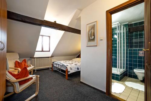 捷克克鲁姆洛夫兰道尔膳食公寓的客房设有带一张床和淋浴的浴室。
