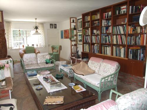 阿瓜德奥罗casa tunquelen的客厅配有家具和书架