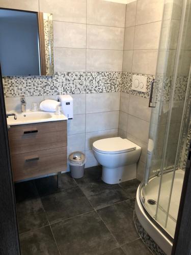 埃维昂莱班依云萨瓦酒店的浴室配有卫生间、盥洗盆和淋浴。