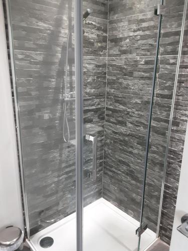 波斯考尔Esplanade Seaside View Apartment的浴室里设有玻璃门淋浴
