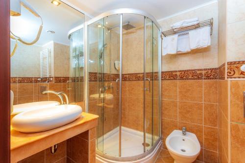 艾斯特根贝尔维尤埃斯泰戈姆酒店的带淋浴、盥洗盆和卫生间的浴室