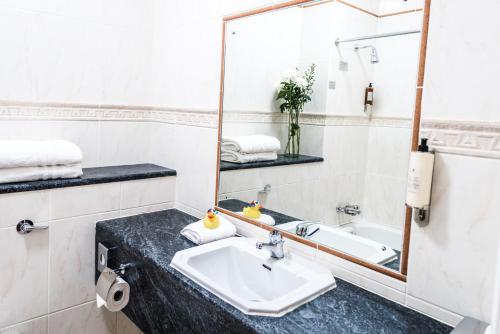 克洛纳基尔蒂Clonakilty Park Hotel的一间带水槽和镜子的浴室
