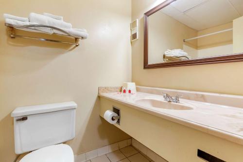 伯灵顿Econo Lodge Burlington I-40的一间带水槽、卫生间和镜子的浴室