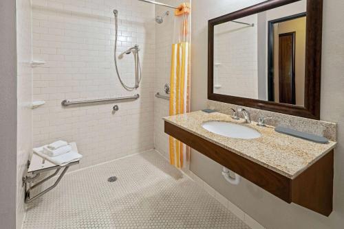 比尤特拉金塔套房巴特酒店的一间带水槽、淋浴和镜子的浴室