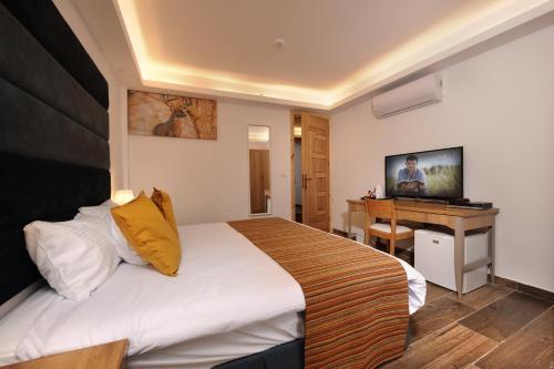 米茨佩·拉蒙Tzukim Desert Traveler's Hotel - מלון צוקים的一间卧室配有一张床、一张书桌和一台电视