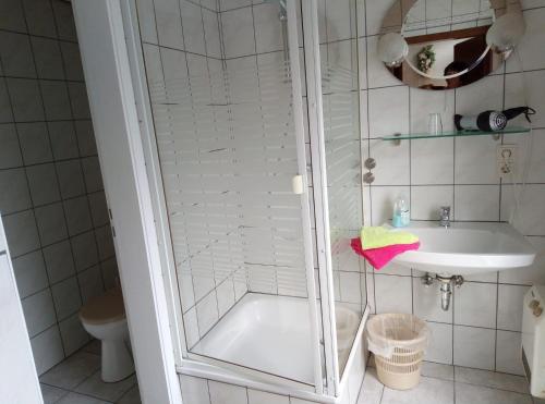 锡默拉特施洛伊夫公寓的带淋浴和盥洗盆的浴室