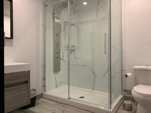 Saint-RaymondHôtel St-Alexis的浴室里设有玻璃门淋浴
