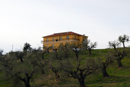 奥菲达Residence Borgo Offida的一座树荫小山顶上的黄色房子