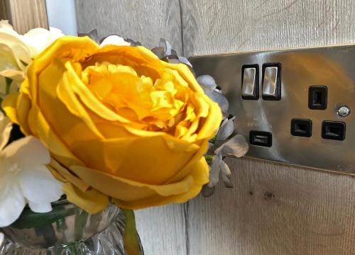 巴利米纳McNaughton Guestrooms的电梯旁的花瓶里的一个黄色花朵