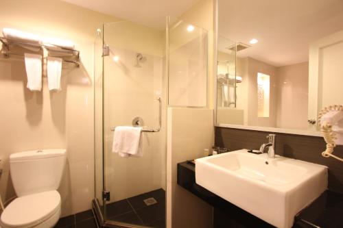 巴淡岛中心和谐会议酒店及服务公寓的浴室配有卫生间、盥洗盆和淋浴。