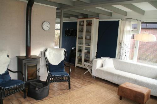 SchoorldamRekerlanden 80的带沙发和壁炉的客厅