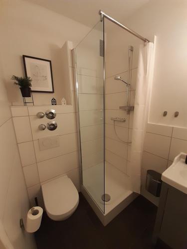 卡塞尔Apartment in zentraler Lage Kassels的带淋浴、卫生间和盥洗盆的浴室