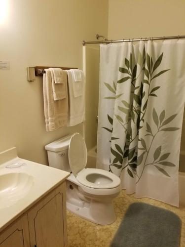 奥尔巴尼Kancamagus Swift River Inn的一间带卫生间和淋浴帘的浴室