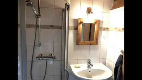 阿伦策Ferienhaus in Arendsee mit direkter Seenähe的浴室配有盥洗盆和带镜子的淋浴