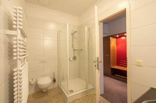 吕本瑙Hotel und Restaurant Zum Deutschen Hause的带淋浴和卫生间的浴室