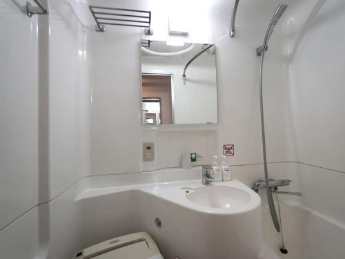 宇都宫宇都宫中心酒店的一间带水槽、卫生间和镜子的浴室