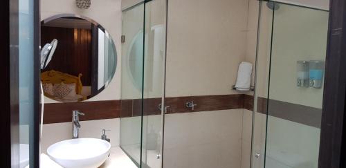 瓜纳华托Casa Lunatta的一间带水槽和玻璃淋浴的浴室